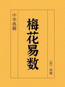 梅花易数