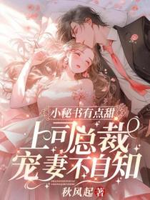 小秘书有点甜，上司总裁宠妻不自知