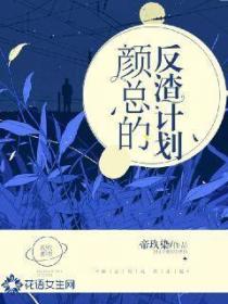 顏總的反渣計劃