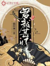 君顏甚好