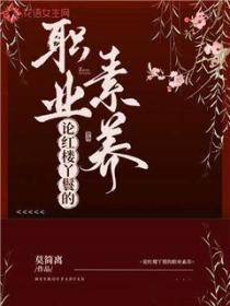 論紅樓丫鬟的職業素養