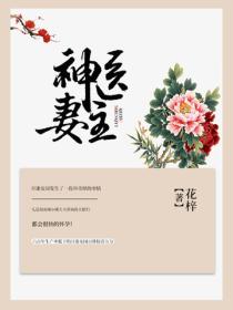 神醫妻主