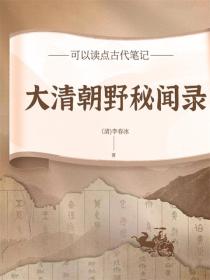 大清朝野秘闻录