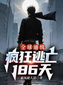 全球通緝：瘋狂逃亡186天
