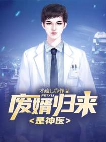 廢婿歸來是神醫