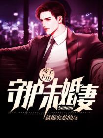 高手下山：守护未婚妻
