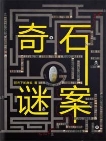奇石谜案