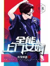 全能上門女婿