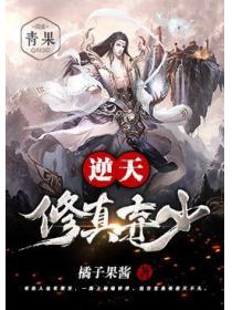 逆天修真棄少
