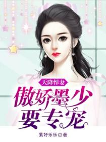 天降悍妻：傲嬌墨少要專寵