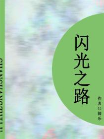 閃光之路（短篇）