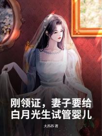 剛領證，妻子要給白月光生試管嬰兒