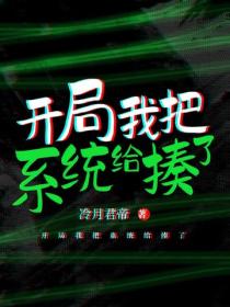 開局我把係統給揍了