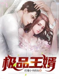 極品王婿