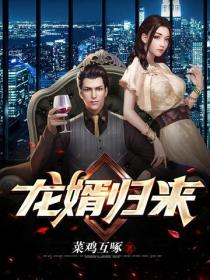 龍婿歸來