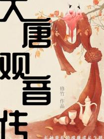 大唐觀音傳