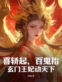 喜轿起，百鬼抬，玄门王妃动天下