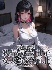噶我腰子？我靠氪金電子女友殺穿緬北