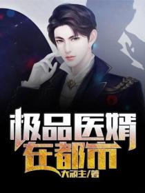 極品醫婿在都市