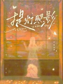 提燈照影