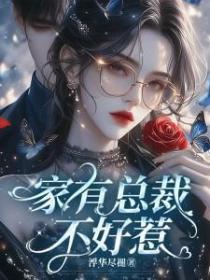 家有總裁，不好惹！