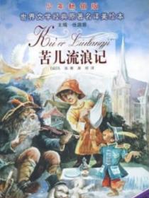 苦兒流浪記