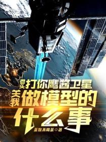老頭打你鷹醬衛星，關我做模型的什麽事