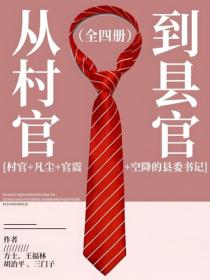 從村官到縣官（全四冊）