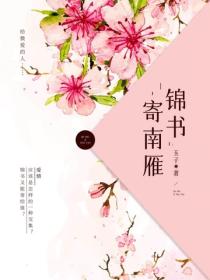 錦書寄南雁