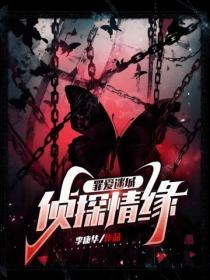 罪愛迷城：偵探情緣