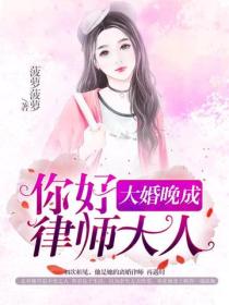 大婚晚成：你好，律師大人