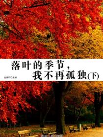 落叶的季节，我不再孤独（下）