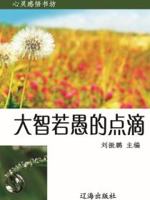 大智若愚的點滴