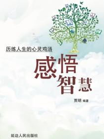感悟智慧——曆練人生的心靈雞湯