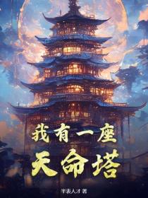 我有一座天命塔