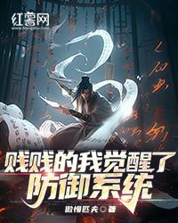 賤賤的我覺醒了防禦係統