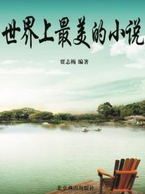 世界上最美的小說
