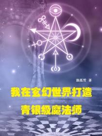 我在玄幻世界打造青银级魔法师
