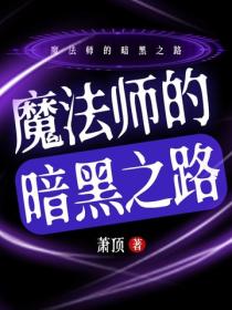 魔法师的暗黑之路