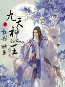 九天神王之唯我獨尊