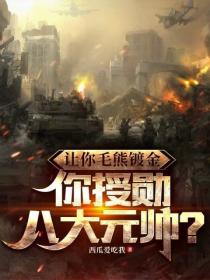 讓你毛熊鍍金，你授勳八大元帥？