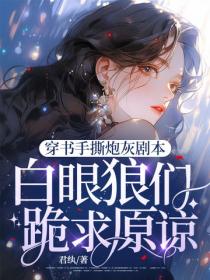 穿书手撕炮灰剧本，白眼狼们跪求原谅