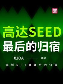高達SEED最後的歸宿