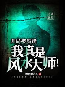 開局被質疑：我真是風水大師！