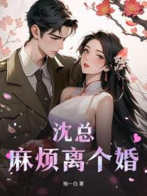 沈總，麻煩離個婚