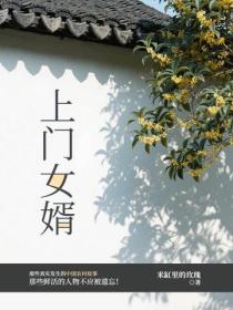 上門女婿