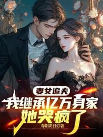 妻女追夫，我继承亿万身家她哭疯了