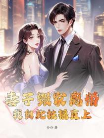 妻子毀家離婚，我自此扶搖直上！