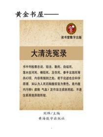 大清沉冤錄