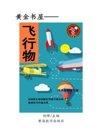 飞行物